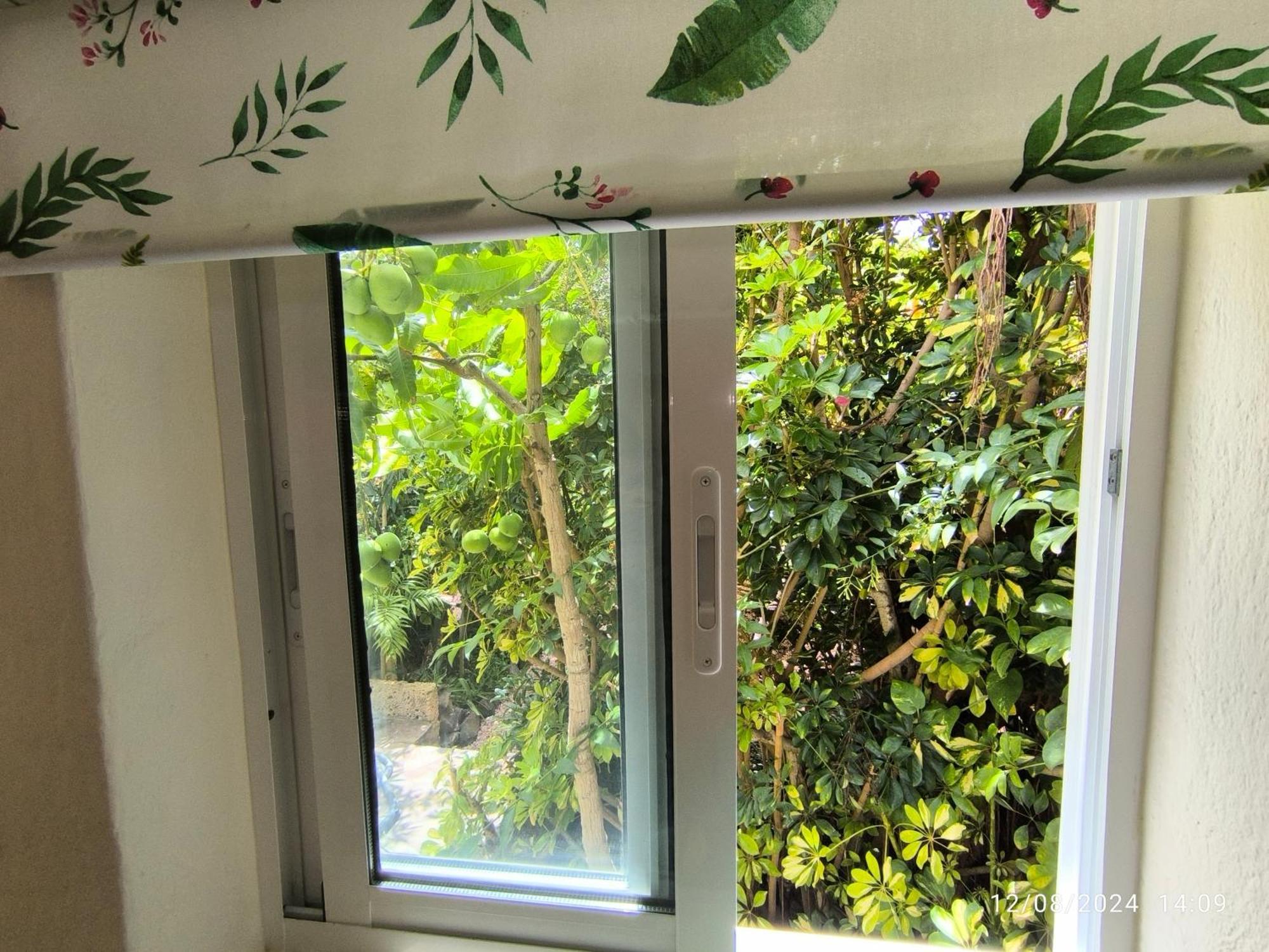 Casa Flora Loft Studio El El Sauzal Extérieur photo